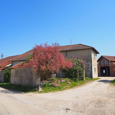 Le Gite Du Haut Châtillon-la-Palud Exterior photo
